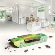 Pet-Safe Cockroach Trap – Powerful Sticky Pest Control Insect Catcher for Kitchen, Bedroom & Home