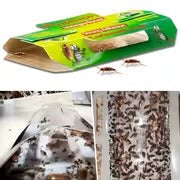 Pet-Safe Cockroach Trap – Powerful Sticky Pest Control Insect Catcher for Kitchen, Bedroom & Home